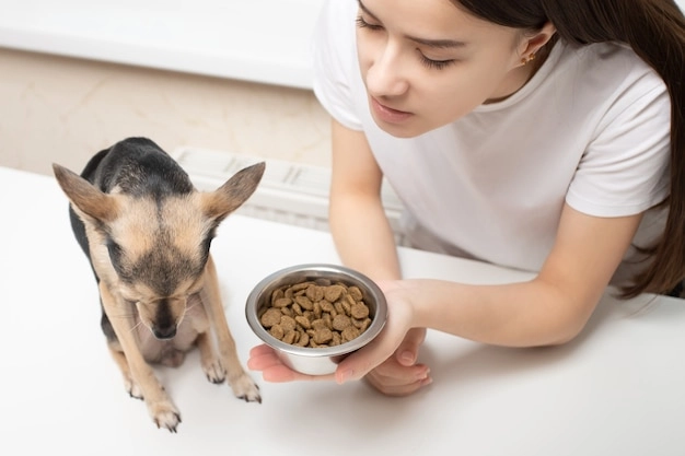 healthy pet eating